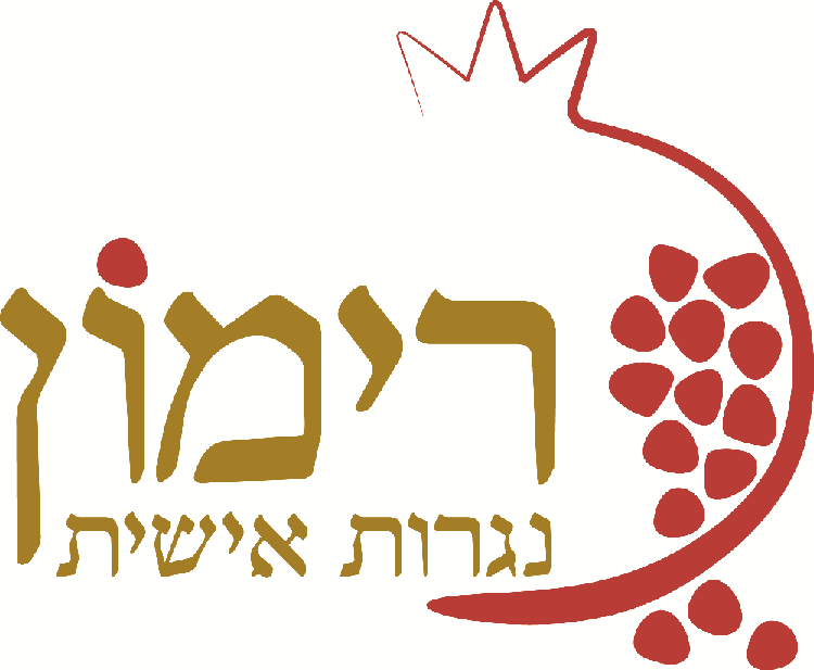 לוגו מוקטן בצייר
